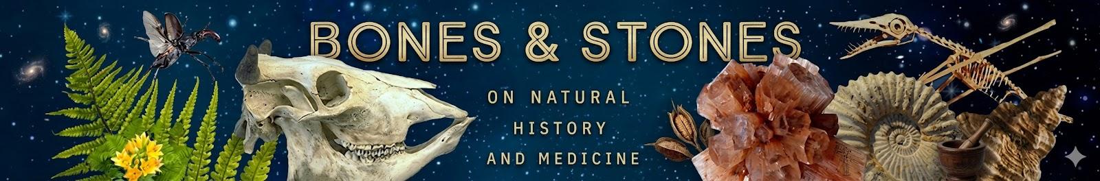 Bones & Stones — On Natural History and Medicine