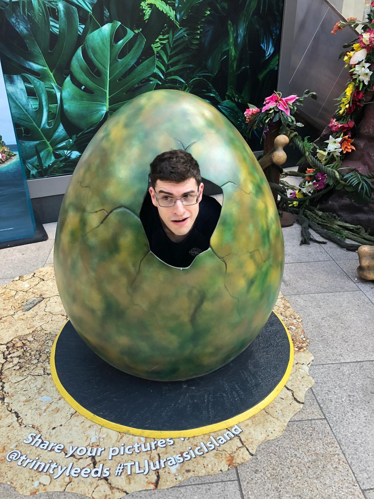 Egg hatch reconstruction